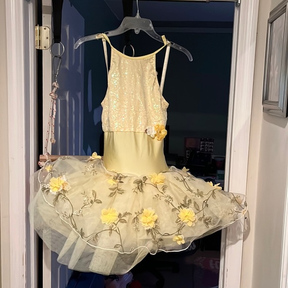 Ballet Costume - Picture 1 of 2